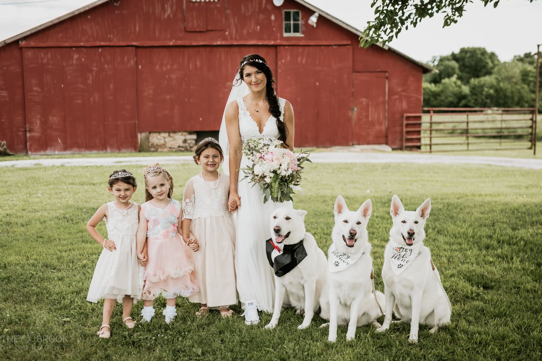 Bride with flower girls and dogs dressed up for the ceremony